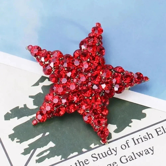 VQ Star Brooch - Picture 2 of 9